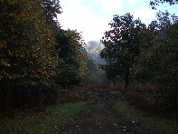 alazza201011105 010